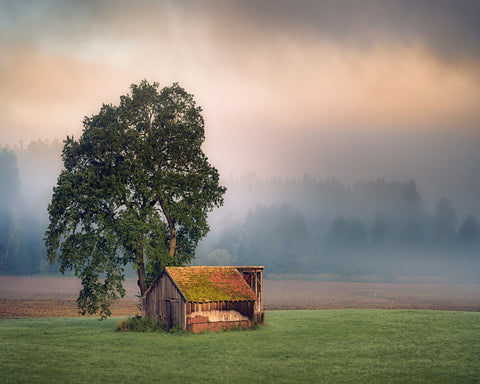 Rustic Barn Tree