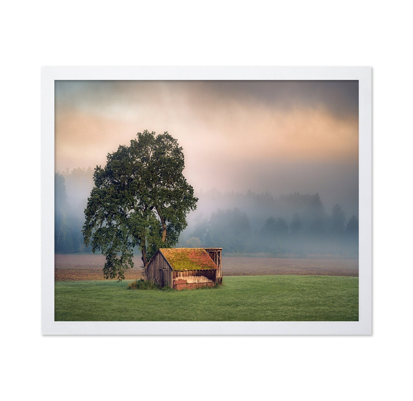 Rustic Barn Tree