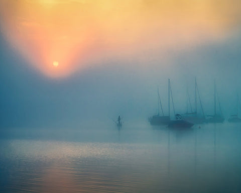 Foggy Harbor Dawn