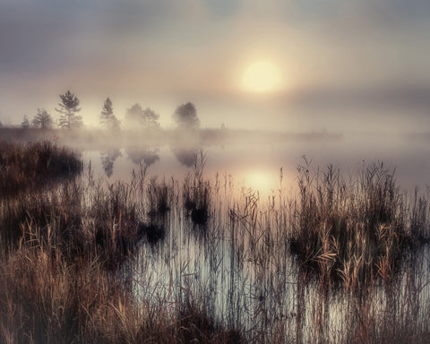 Misty Lake Sunrise No3