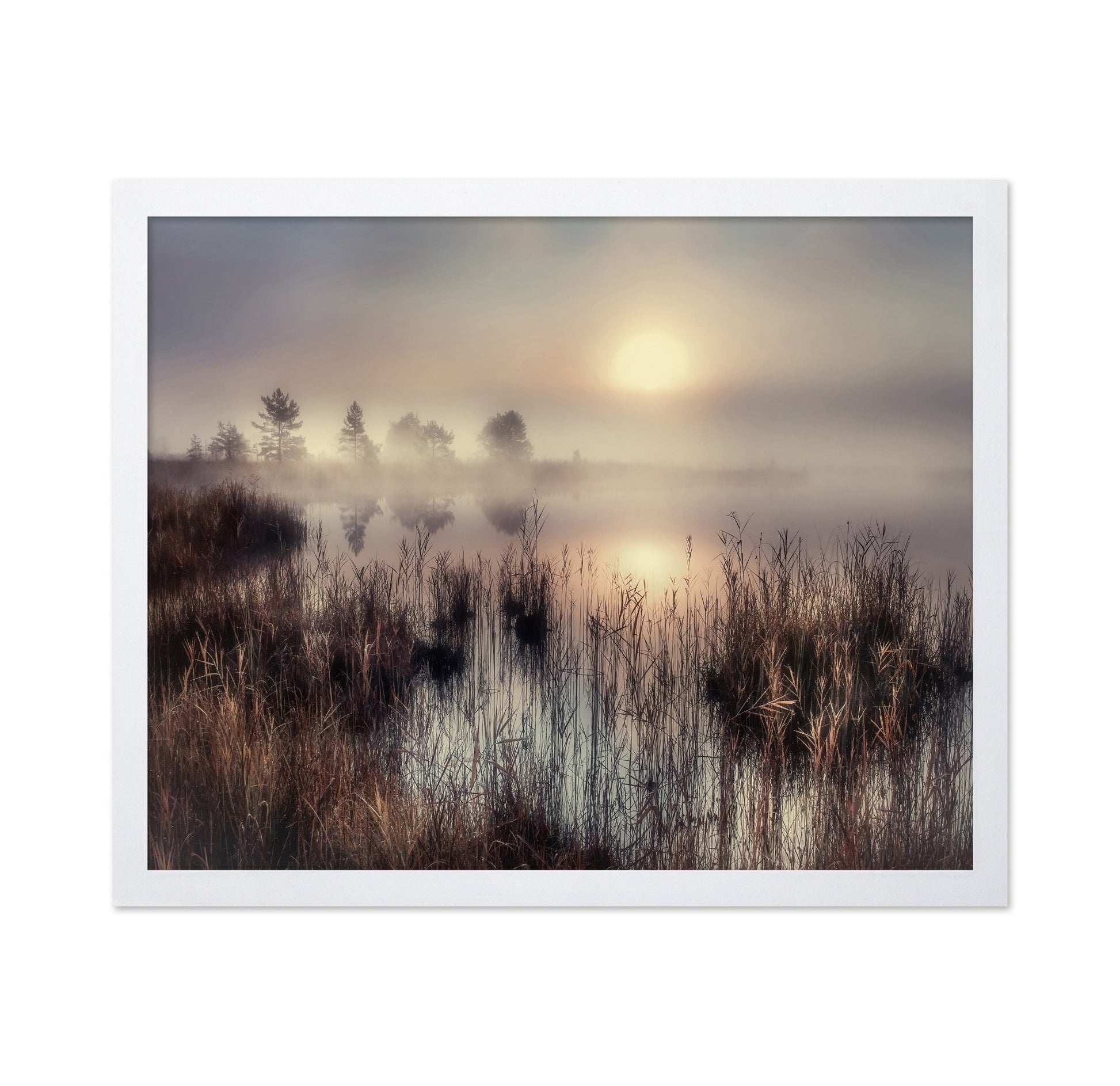 Misty Lake Sunrise No3