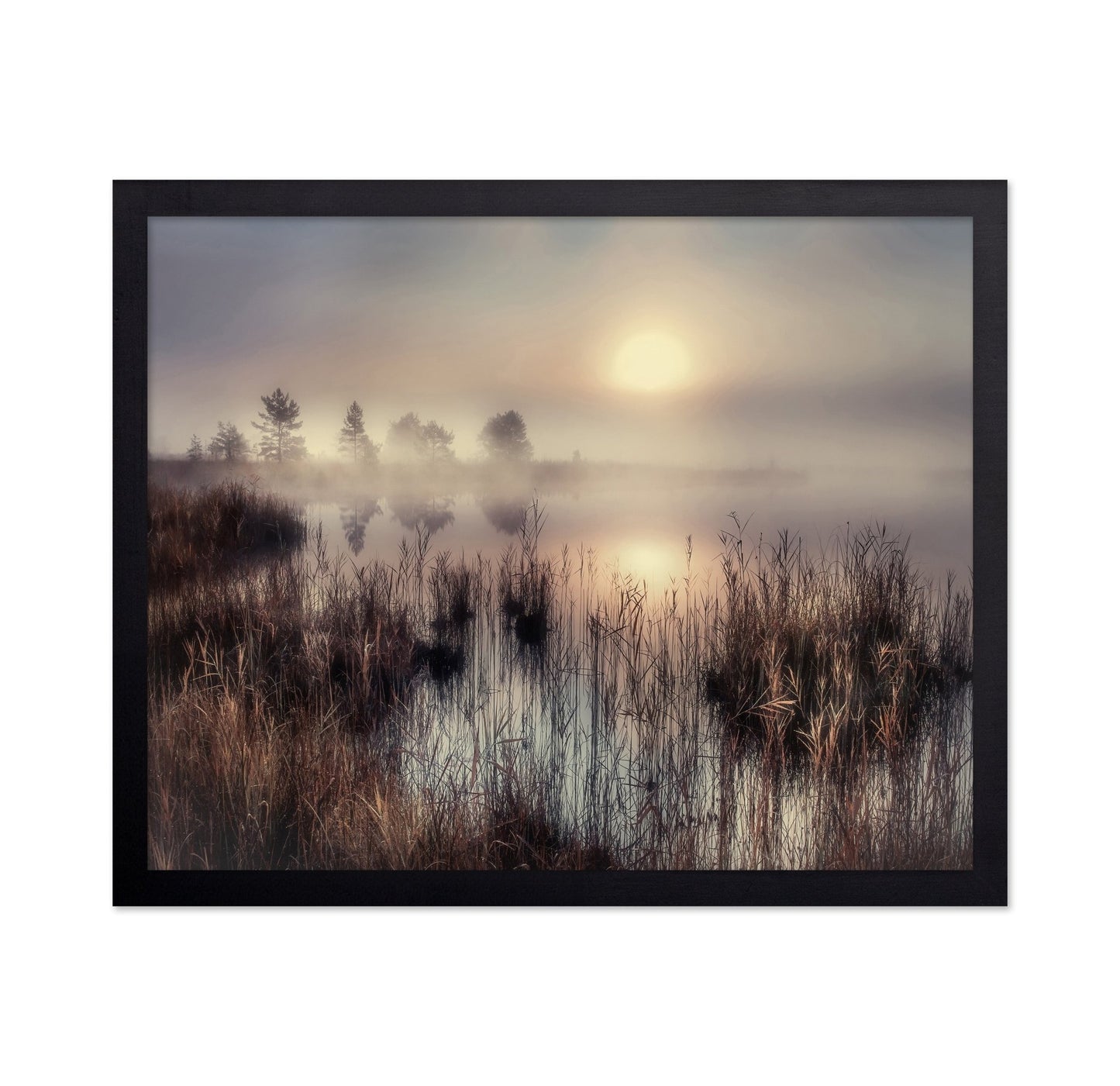 Misty Lake Sunrise No3