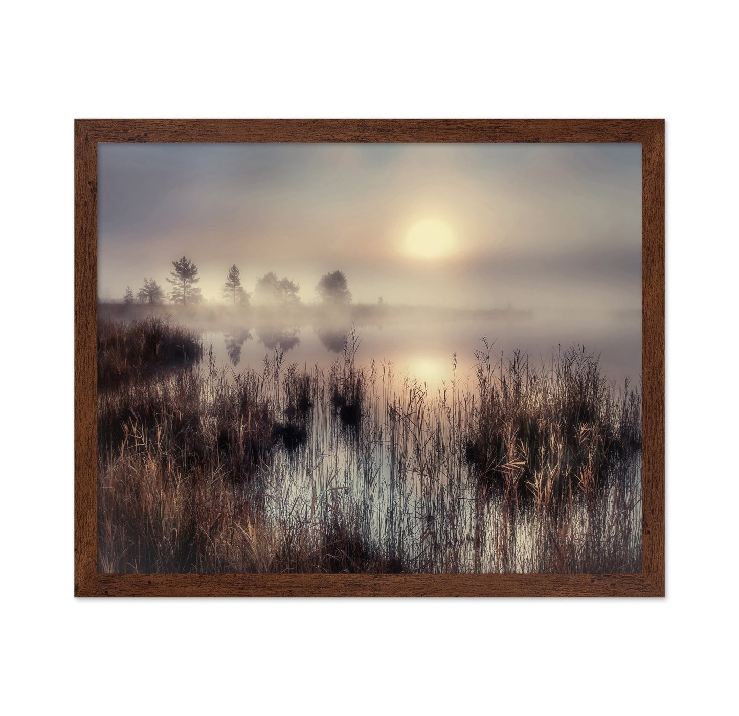 Misty Lake Sunrise No3