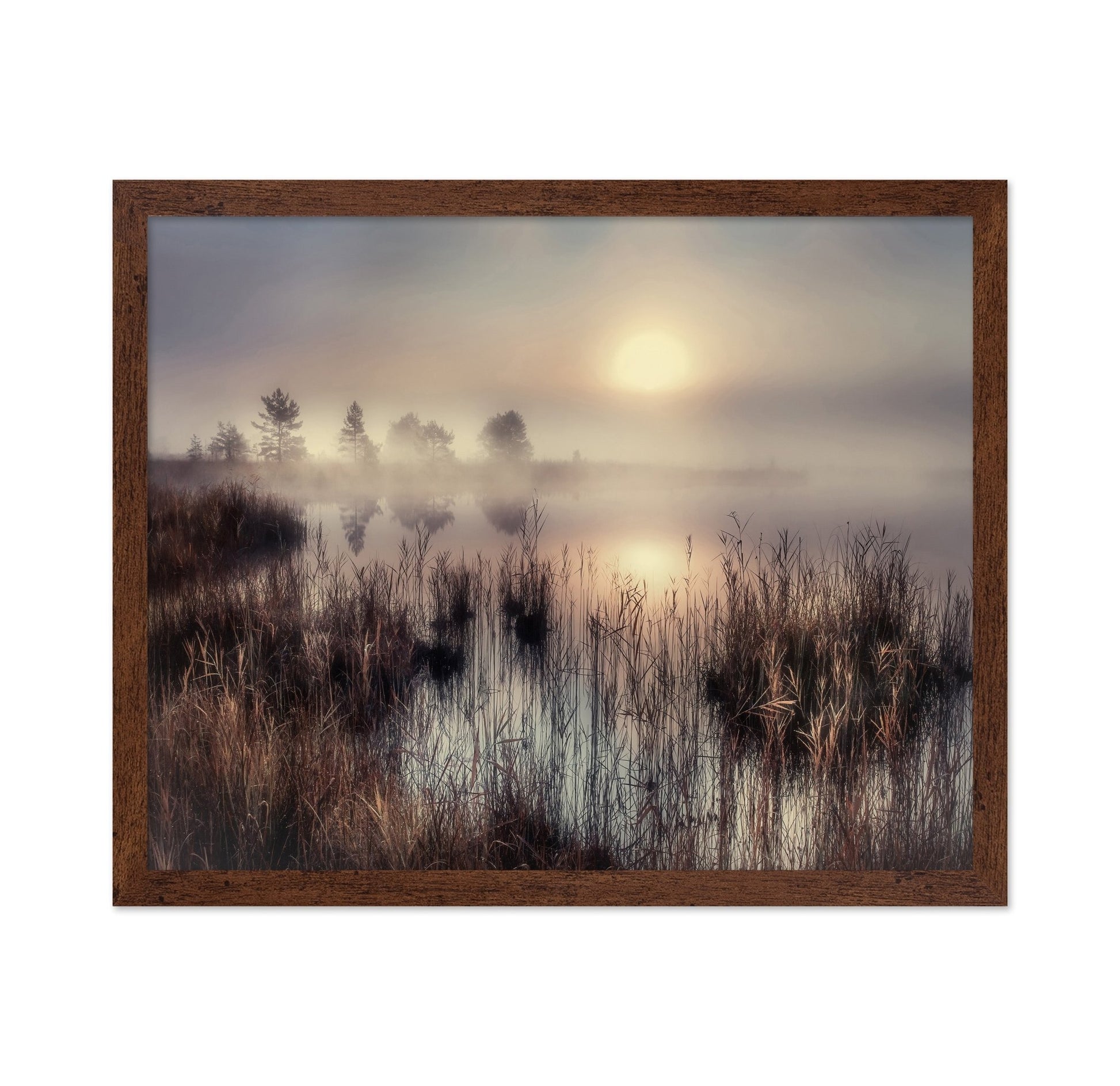 Misty Lake Sunrise No3