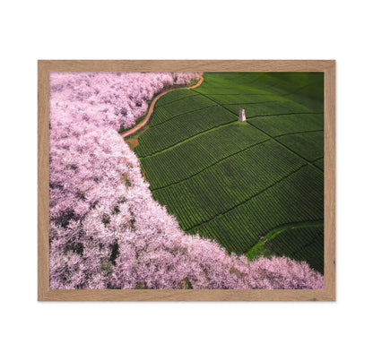 Blossom Tea Fields
