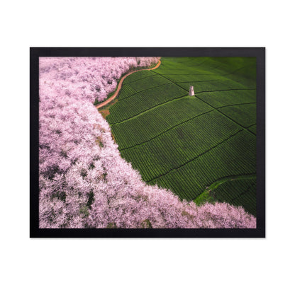 Blossom Tea Fields