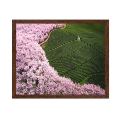 Blossom Tea Fields