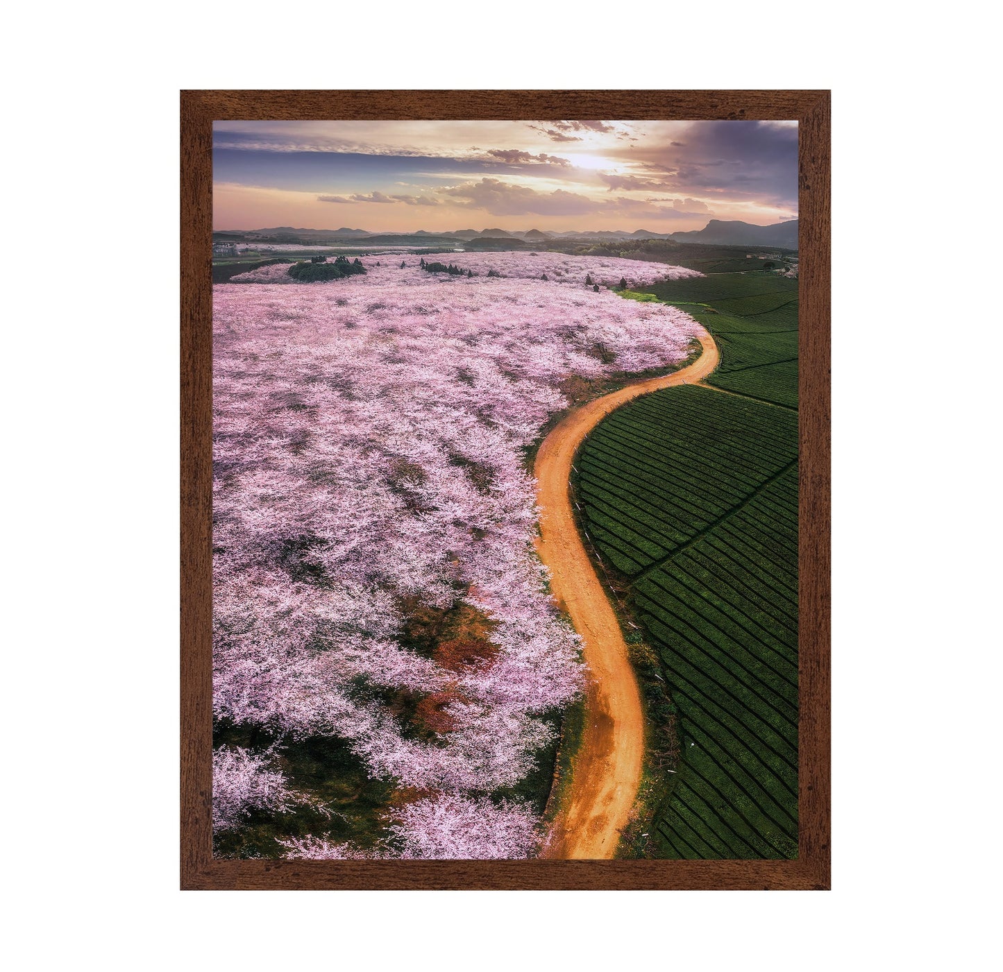 Blossom Valley Curve