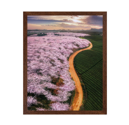 Blossom Valley Curve