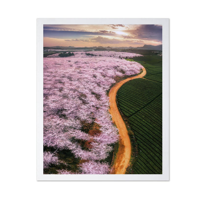 Blossom Valley Curve