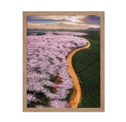 Blossom Valley Curve