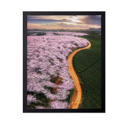 Blossom Valley Curve
