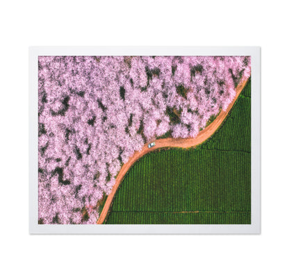 Blossom Path Contrast