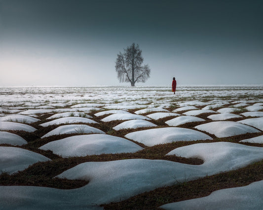 Lone Tree Snow Field