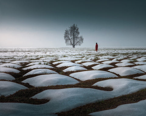 Lone Tree Snow Field