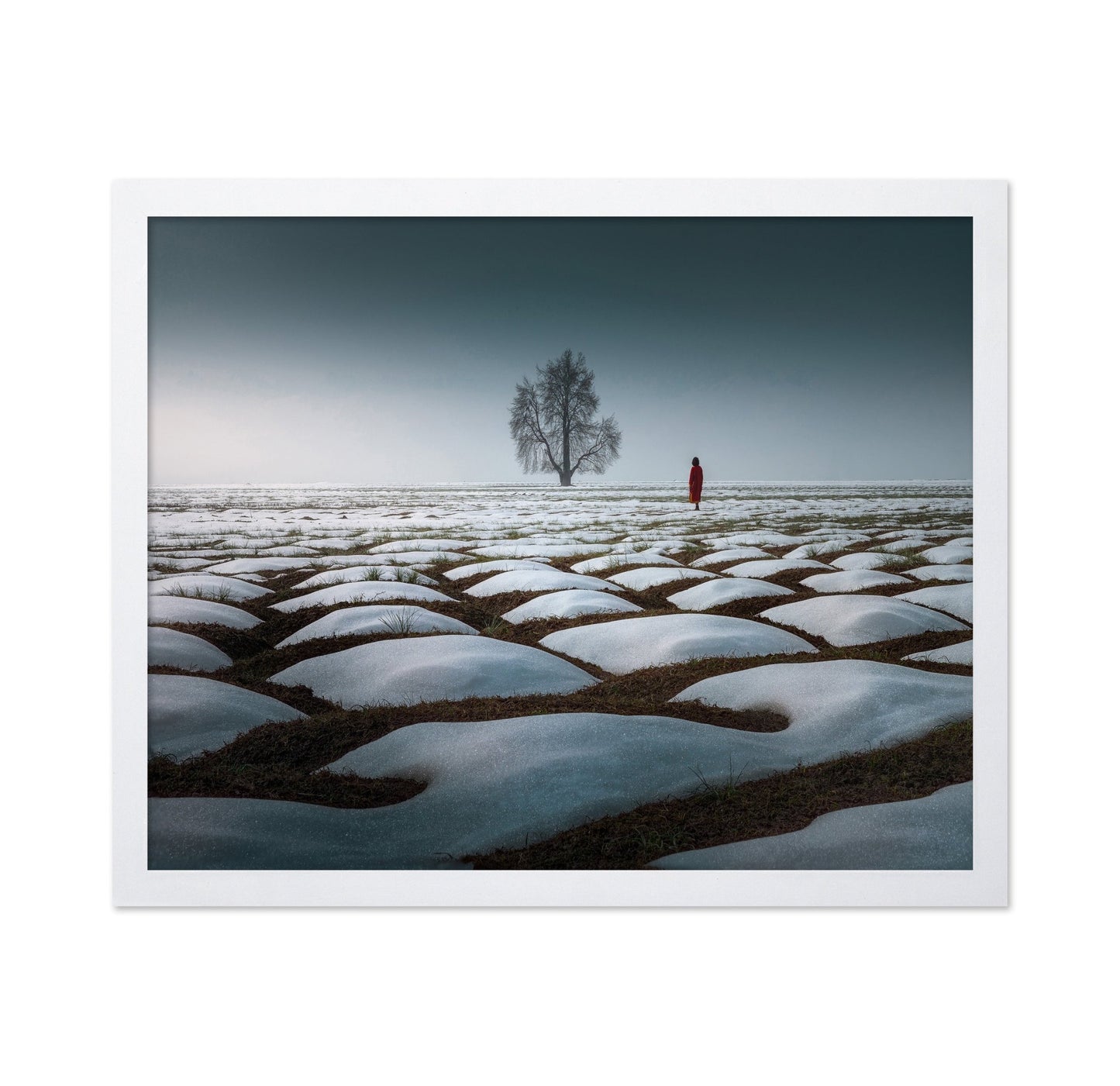Lone Tree Snow Field