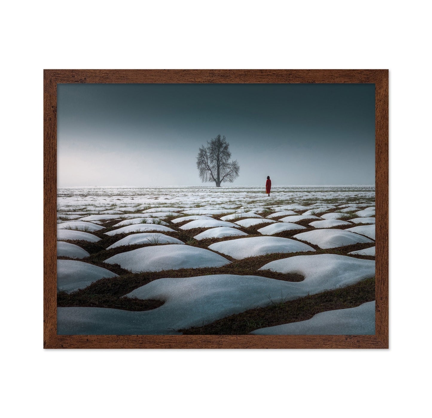 Lone Tree Snow Field