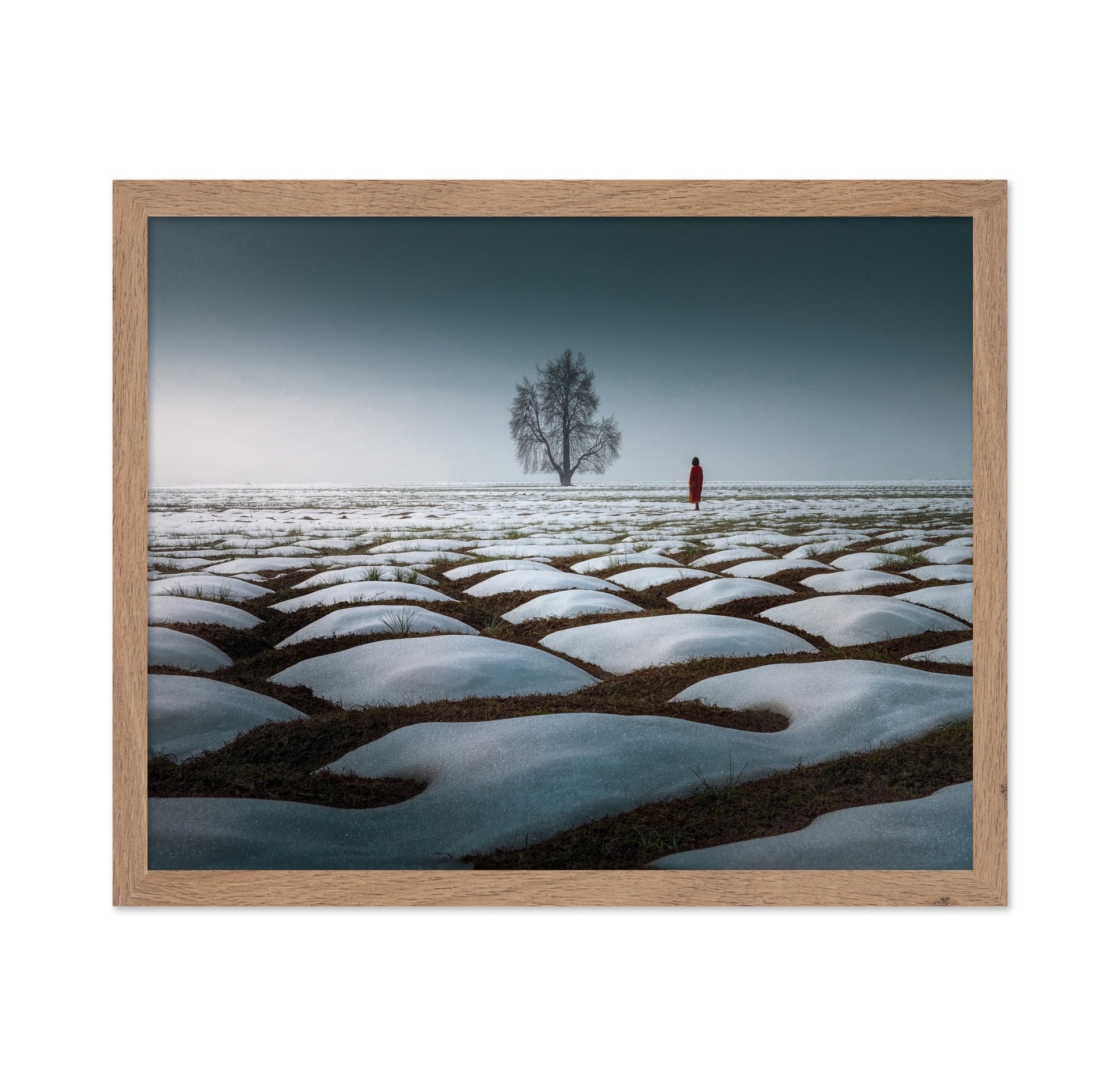 Lone Tree Snow Field