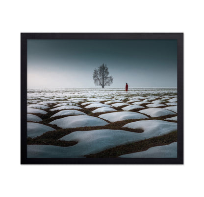 Lone Tree Snow Field
