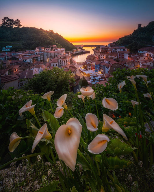 Coastal Village Sunset