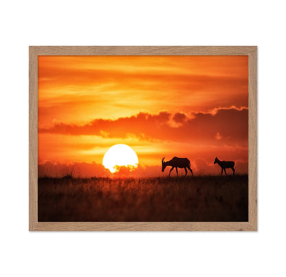 Sunset Antelope Walk