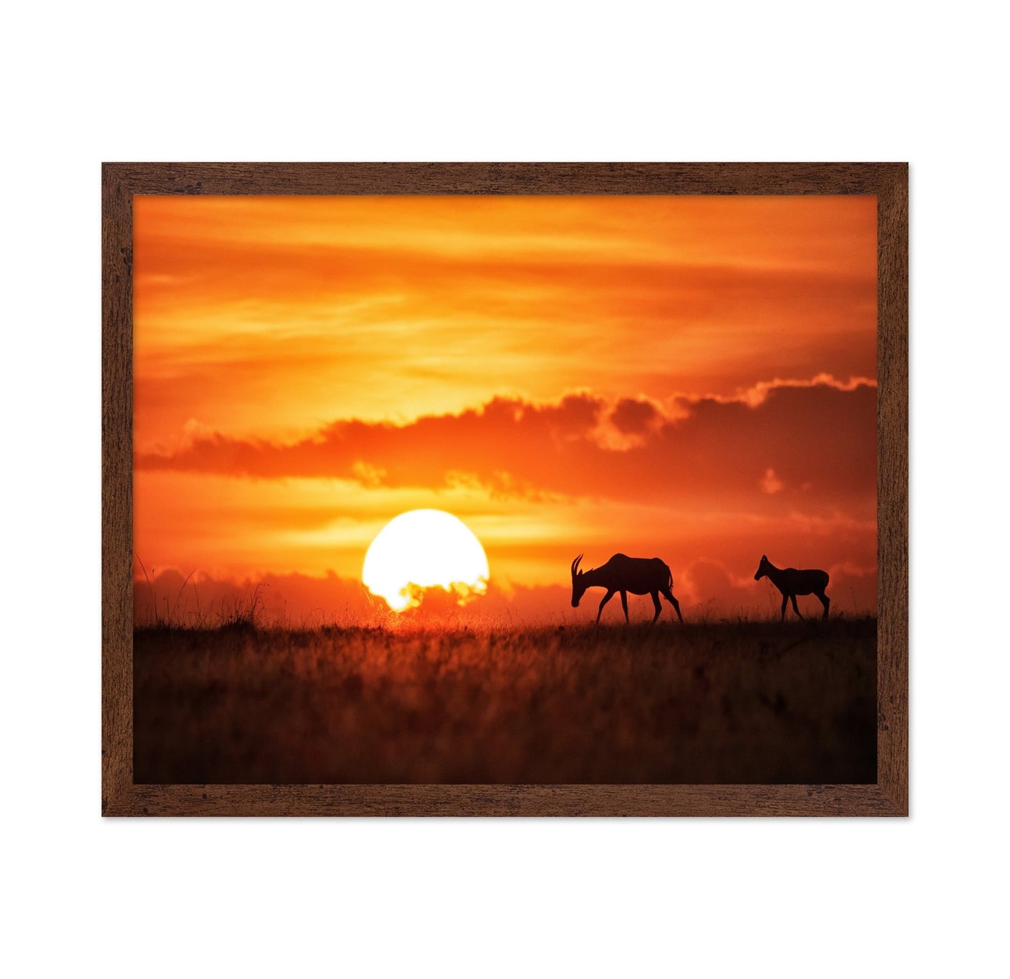 Sunset Antelope Walk