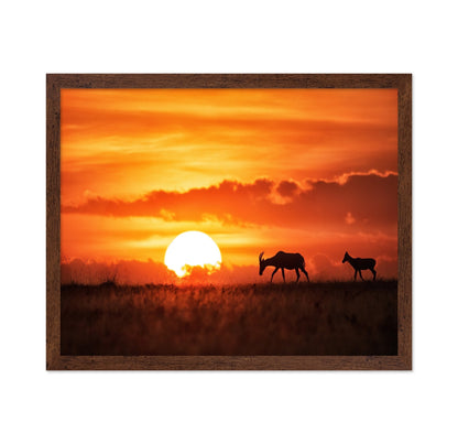 Sunset Antelope Walk