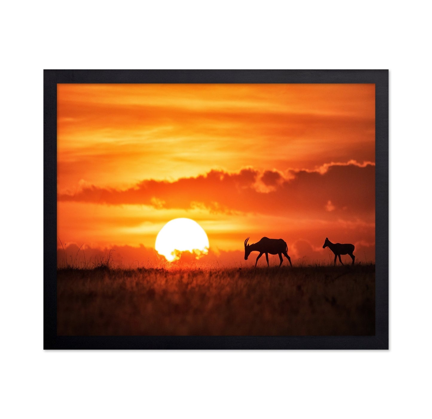 Sunset Antelope Walk