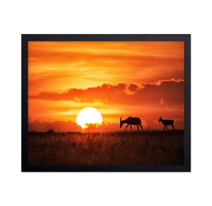 Sunset Antelope Walk