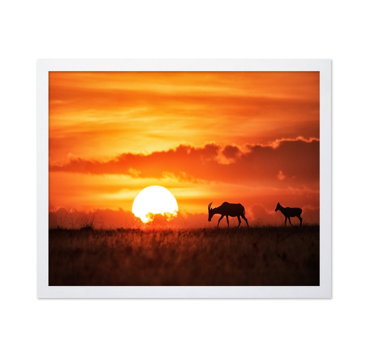 Sunset Antelope Walk
