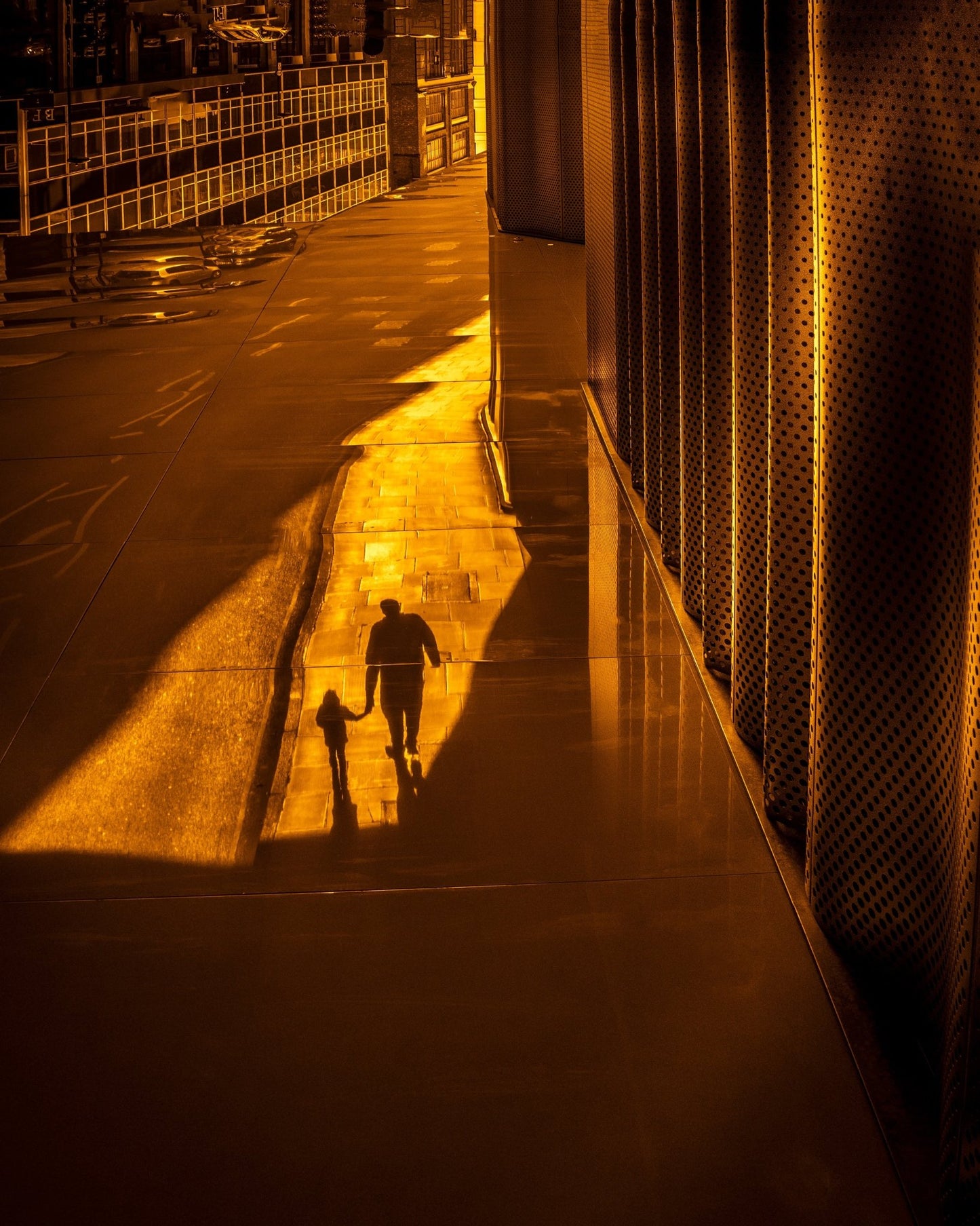 Golden Walk Shadows
