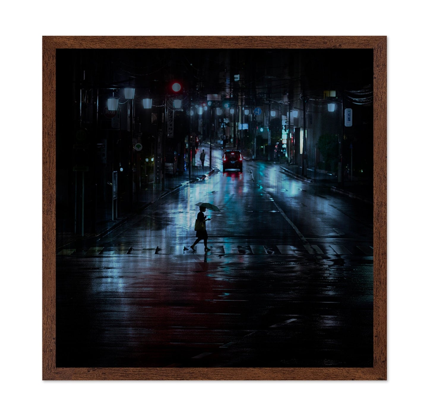 Rainy Night Crossing
