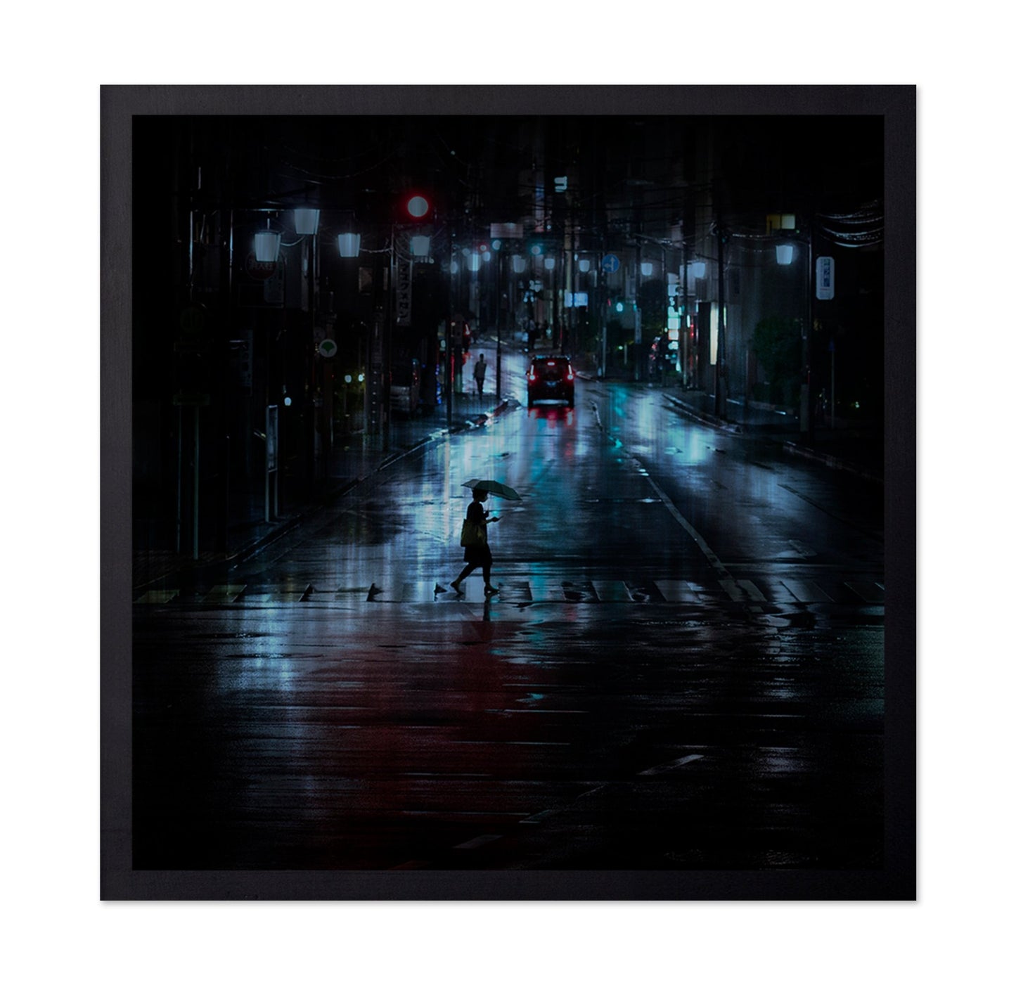 Rainy Night Crossing