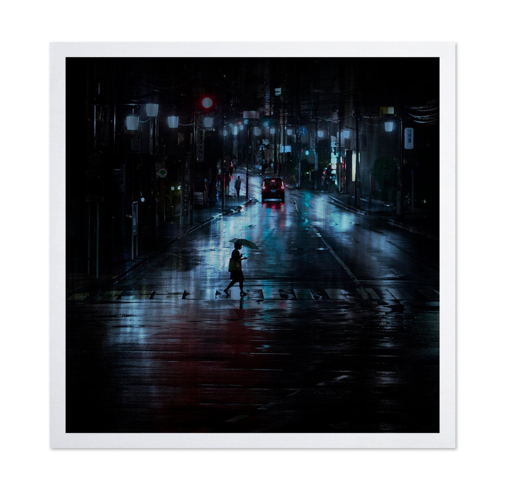 Rainy Night Crossing