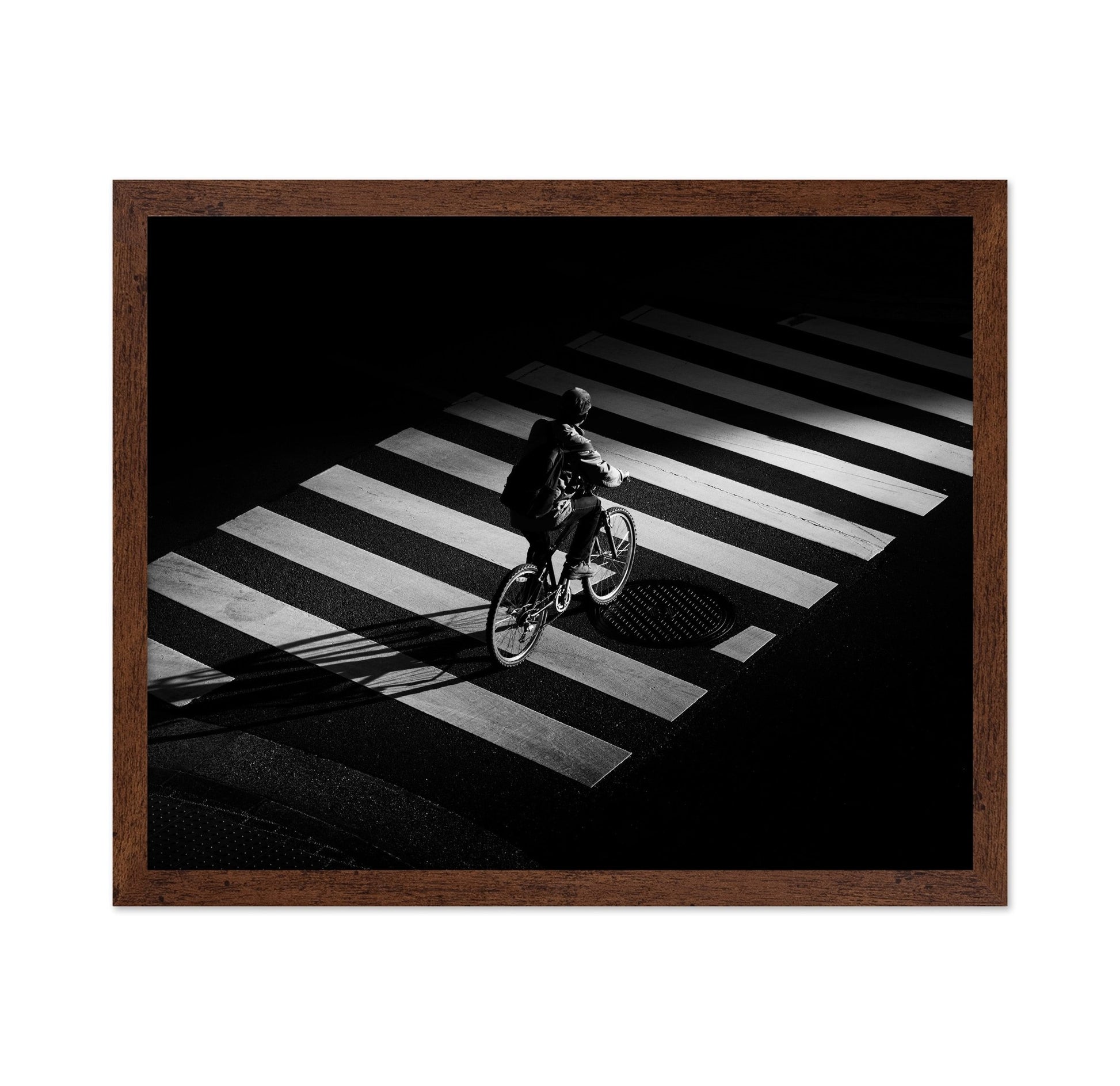 Cyclist Zebra Crossing