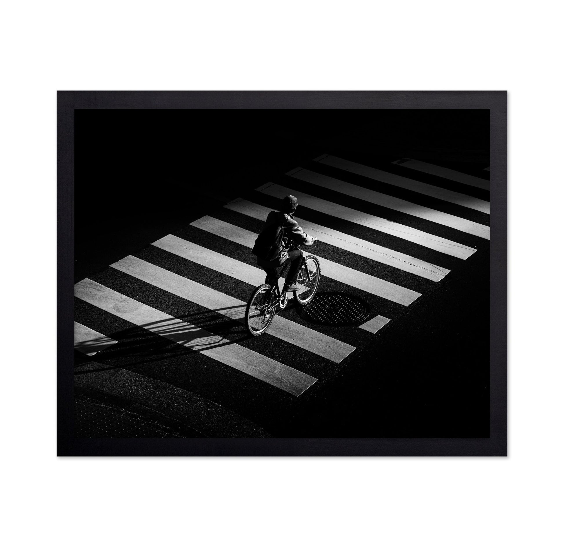 Cyclist Zebra Crossing