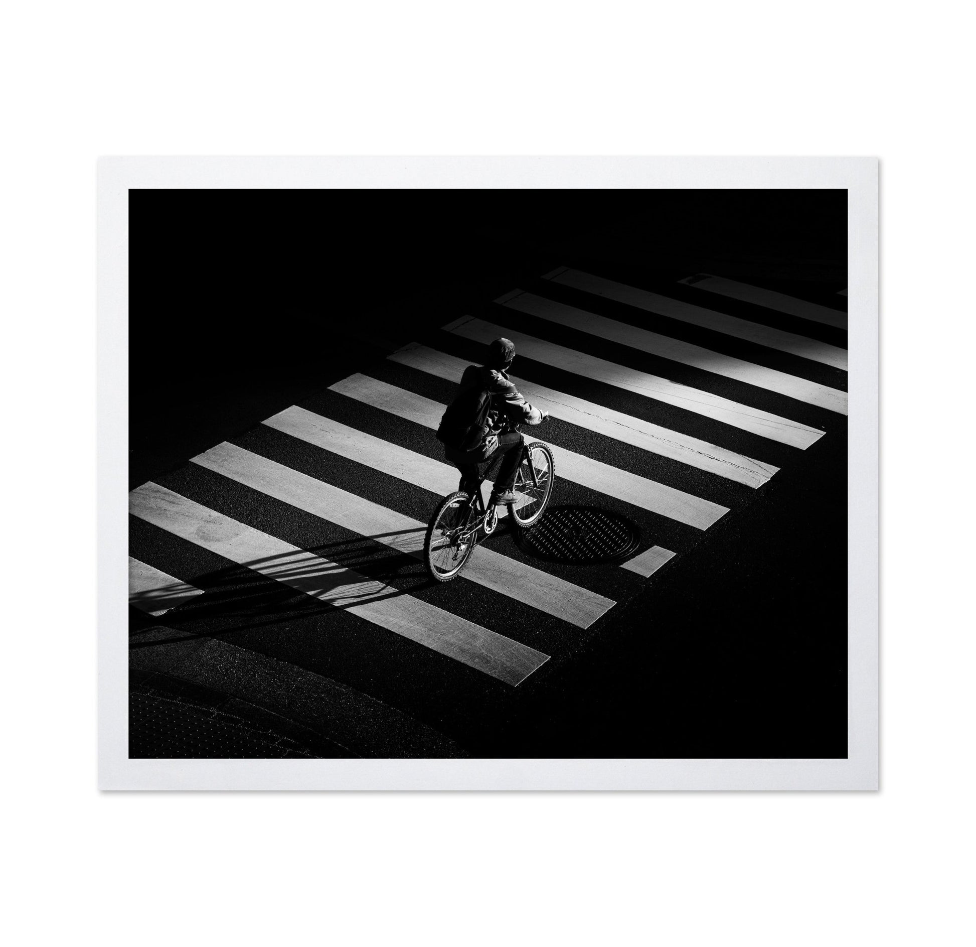 Cyclist Zebra Crossing
