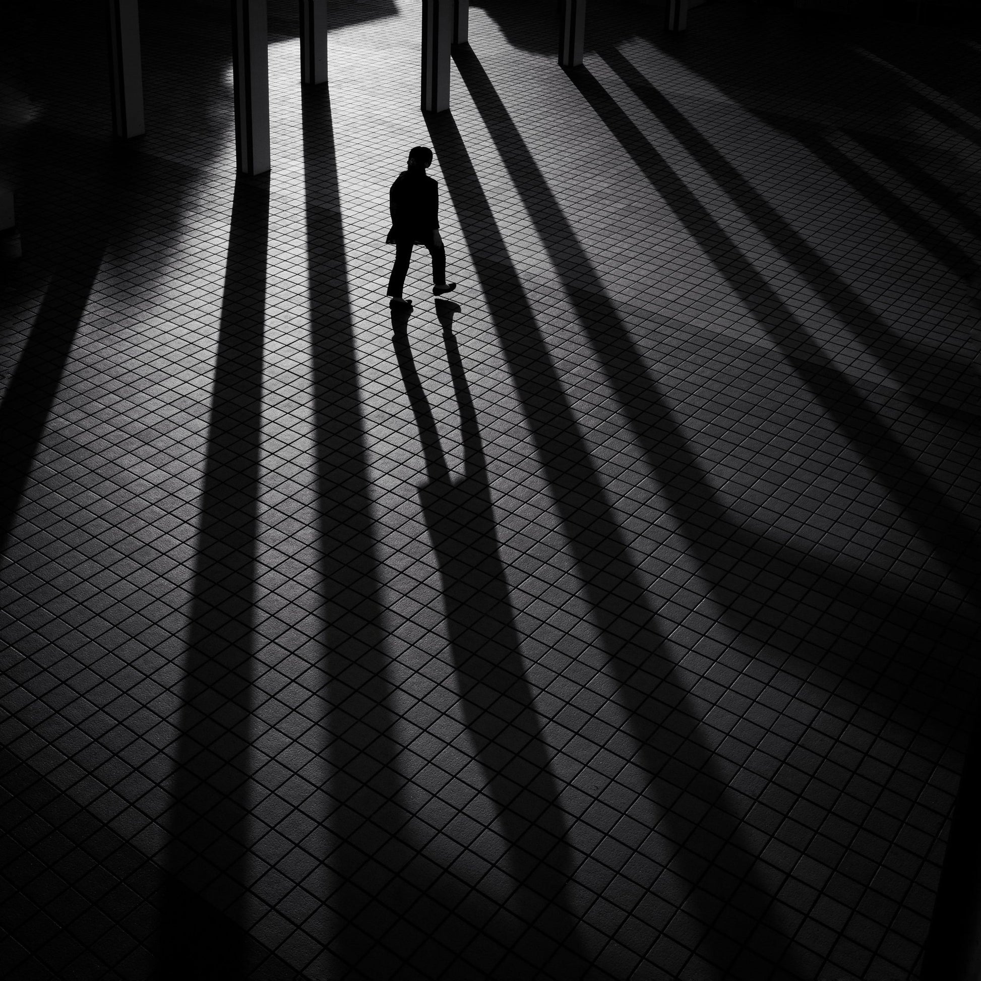 Shadow Lines Walk