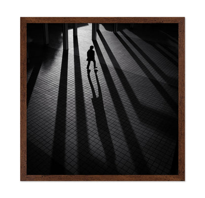 Shadow Lines Walk