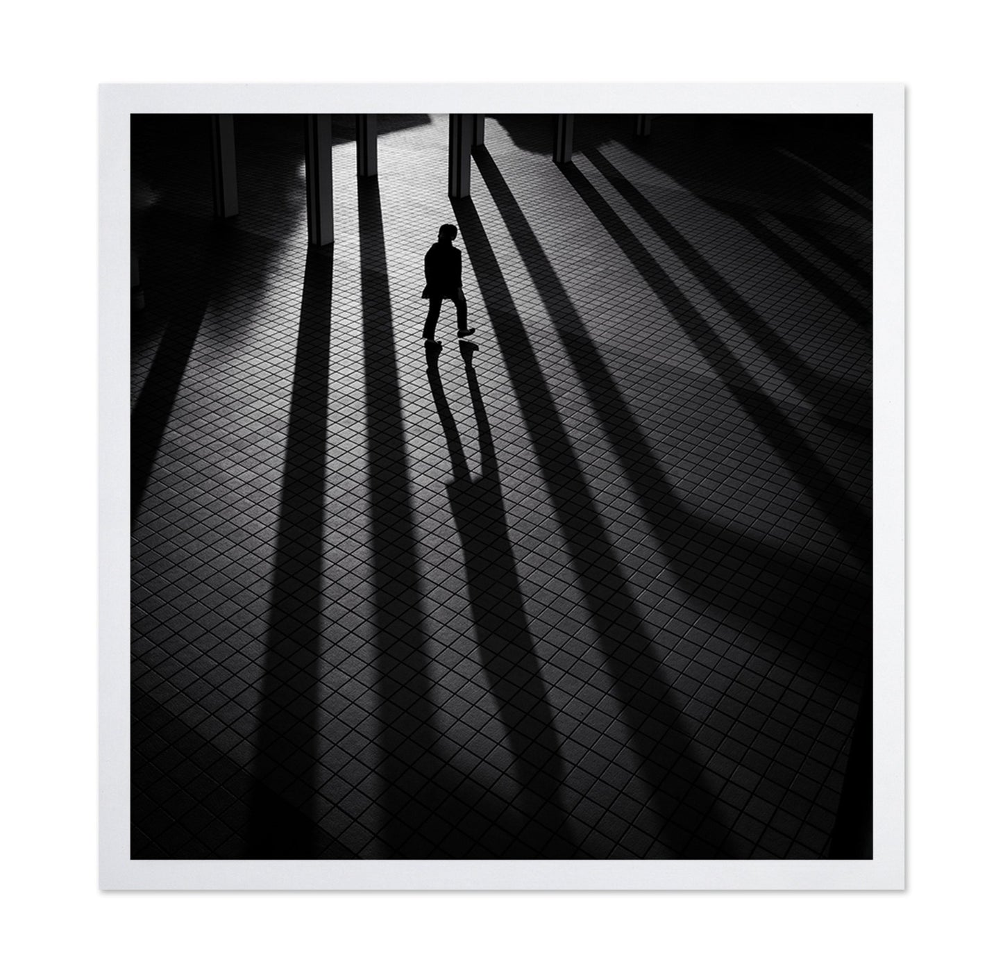 Shadow Lines Walk