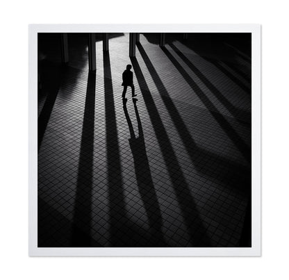 Shadow Lines Walk
