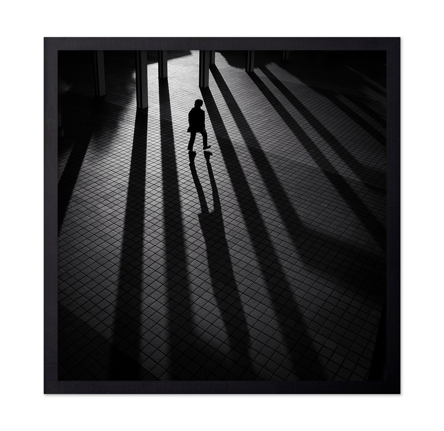 Shadow Lines Walk