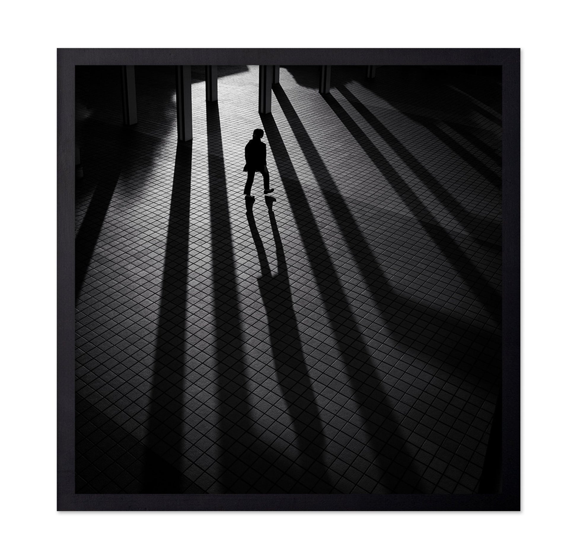 Shadow Lines Walk