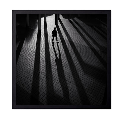Shadow Lines Walk