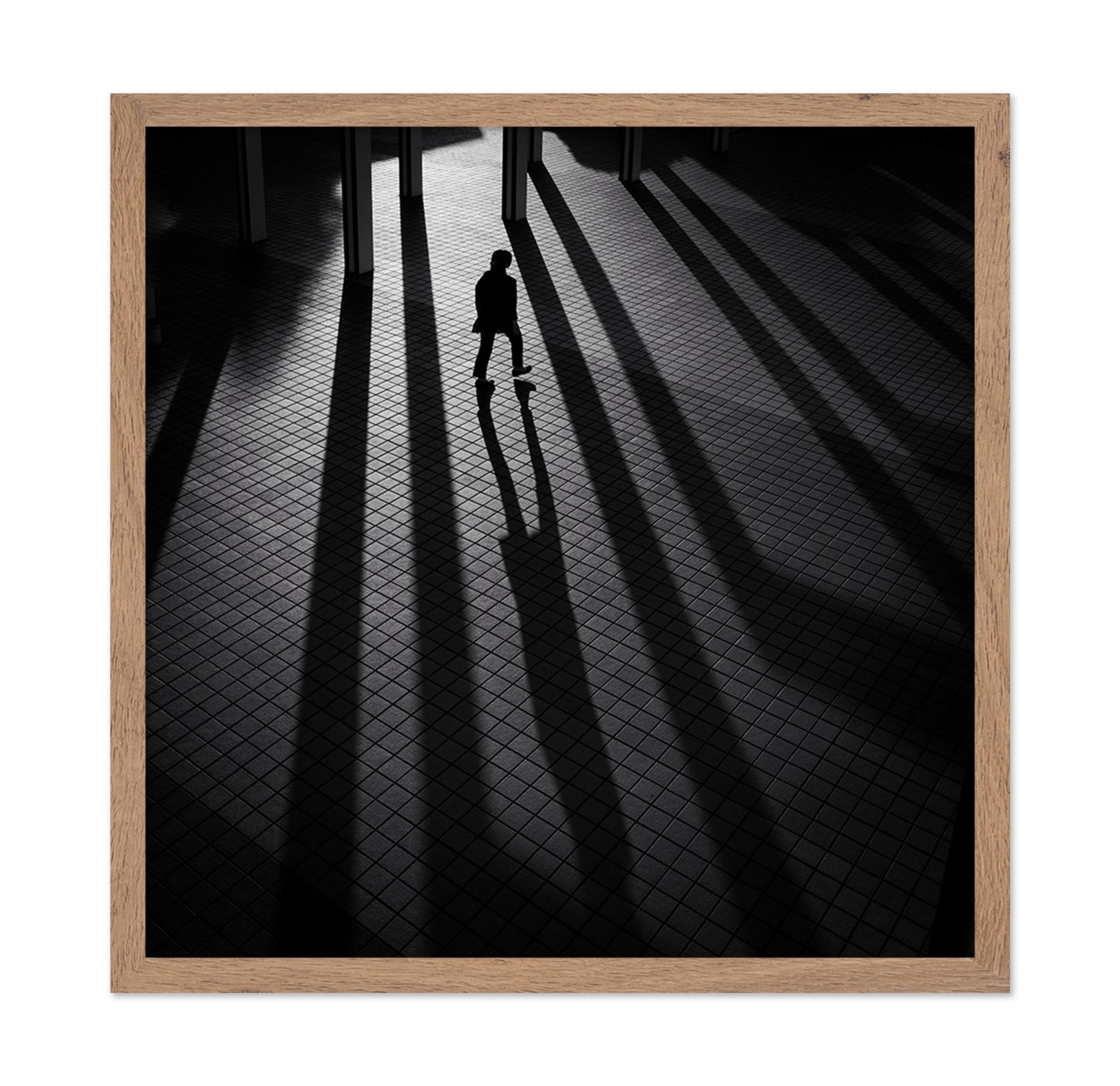 Shadow Lines Walk