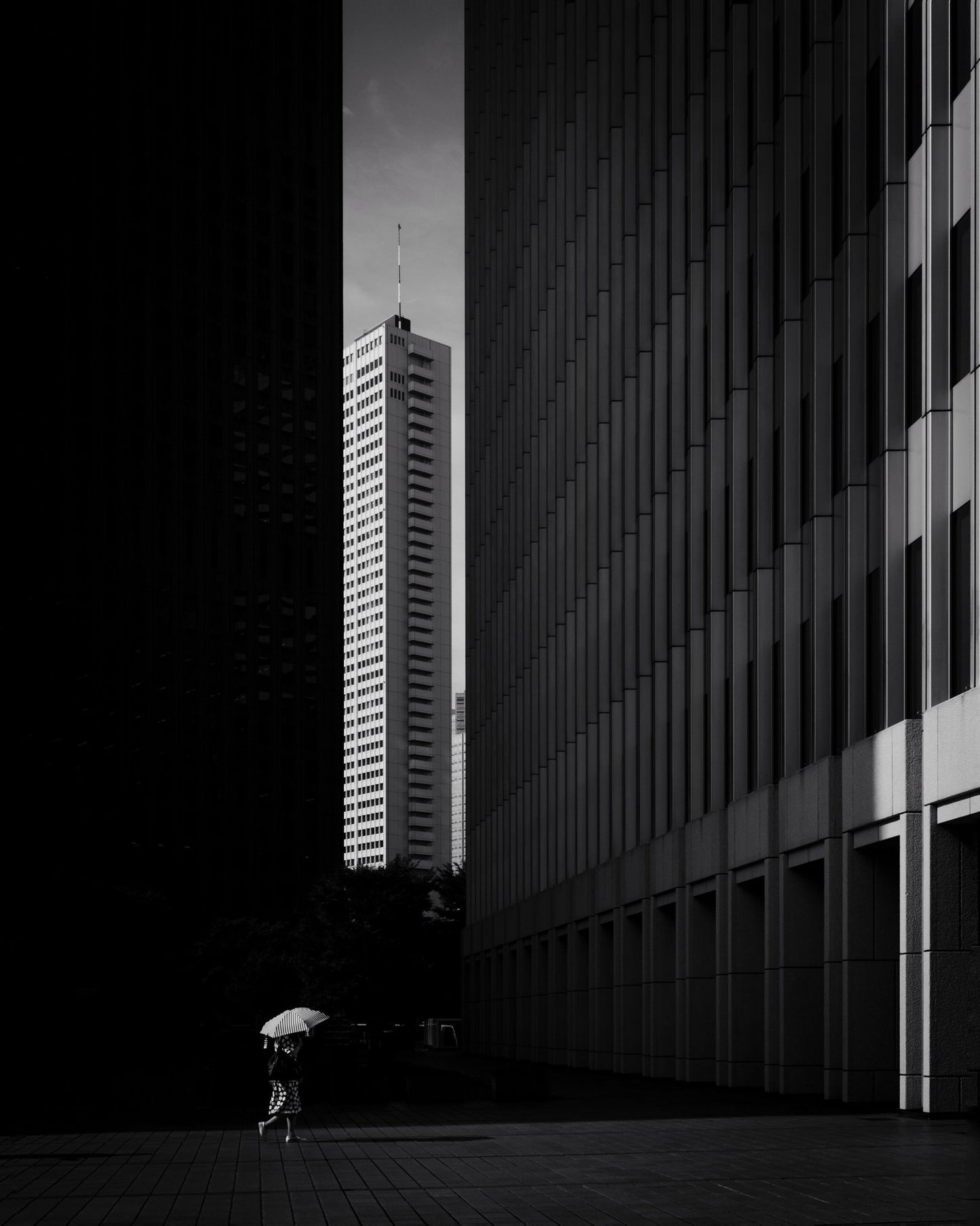 Umbrella City Walk No2