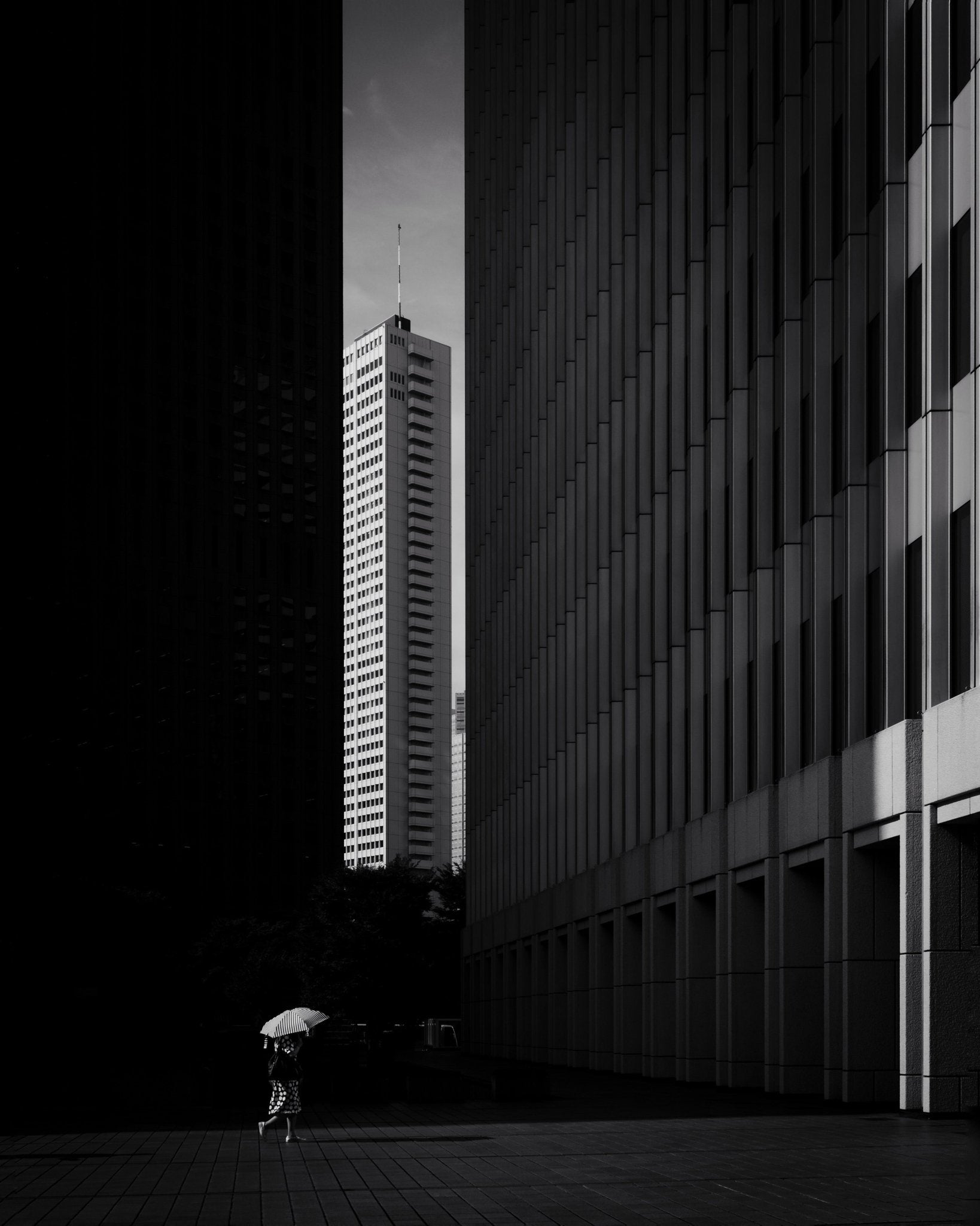 Umbrella City Walk No2