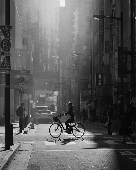 City Bicycle Crossing
