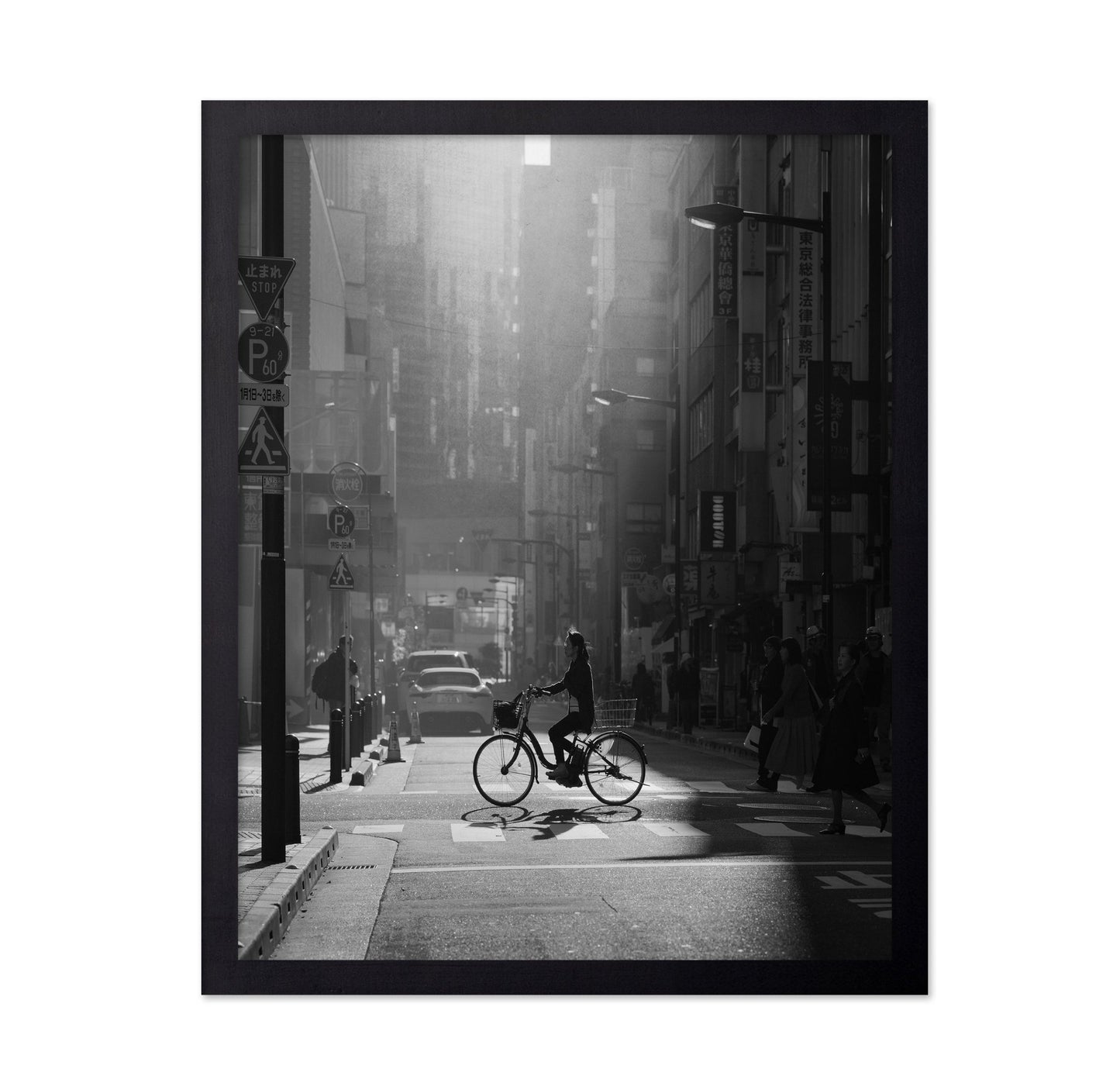City Bicycle Crossing