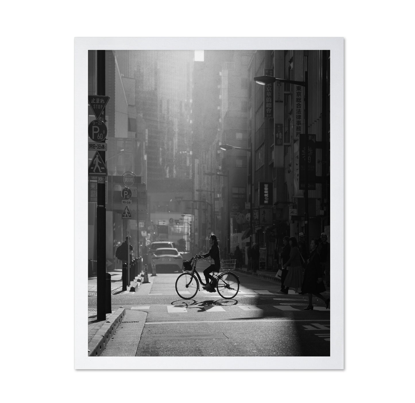City Bicycle Crossing